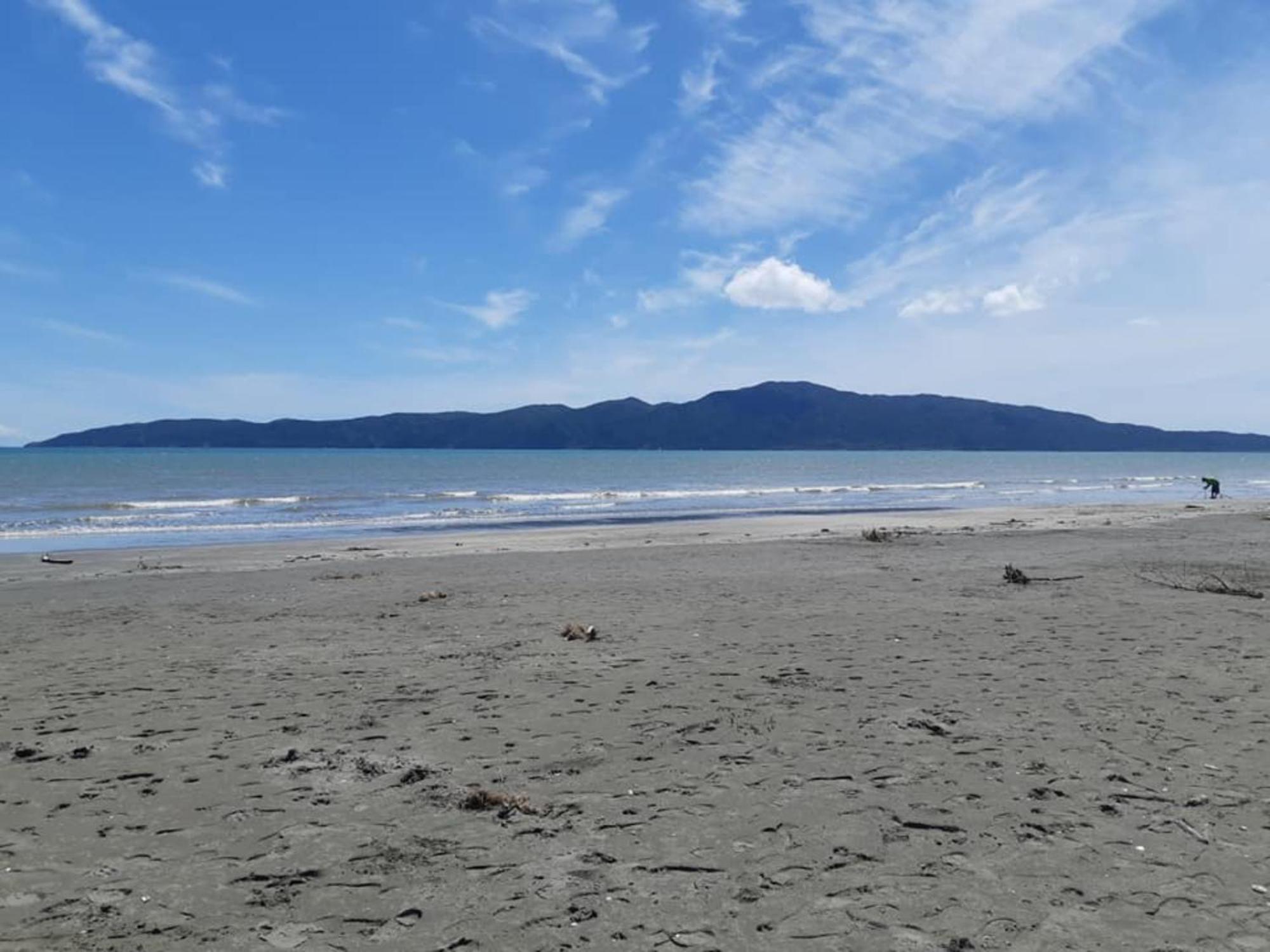 Raumati Guest House 帕拉帕拉乌穆 外观 照片